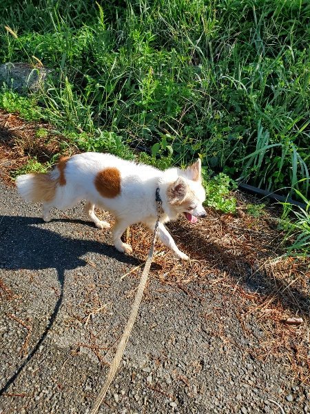 f:id:roukenhome-ann:20191009194532j:plain