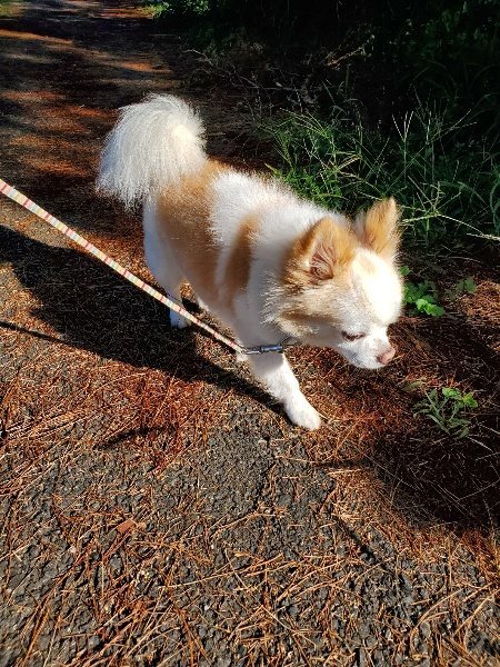 f:id:roukenhome-ann:20191009194609j:plain