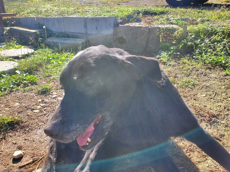 f:id:roukenhome-ann:20191009194944j:plain