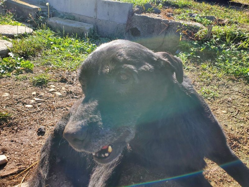 f:id:roukenhome-ann:20191009194955j:plain