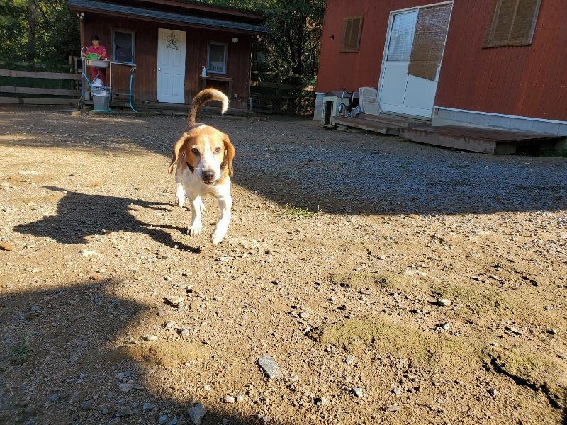 f:id:roukenhome-ann:20191009195138j:plain