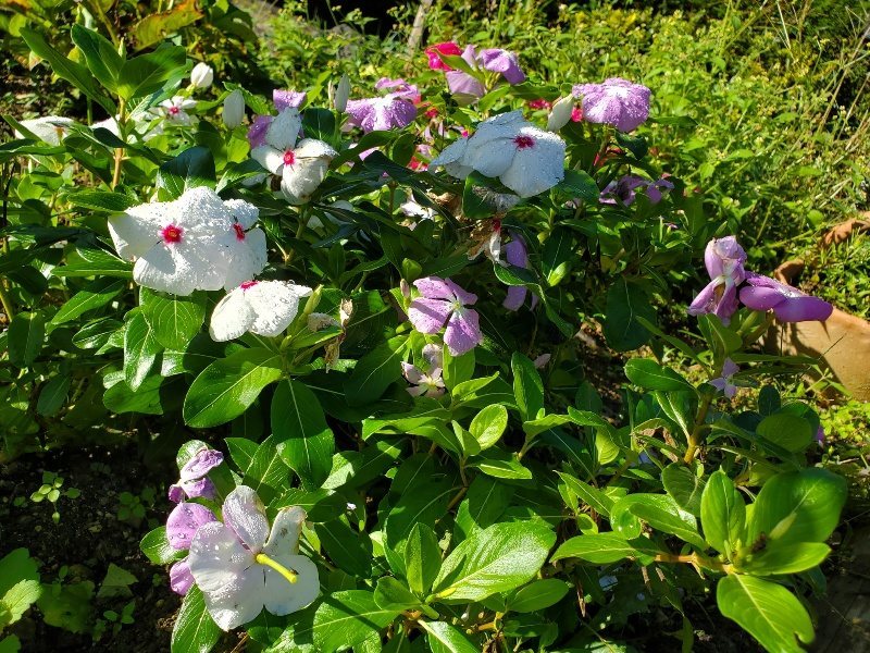 f:id:roukenhome-ann:20191009195147j:plain