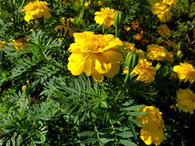 f:id:roukenhome-ann:20191009195209j:plain