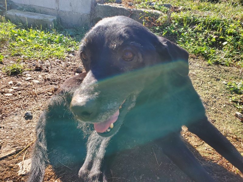 f:id:roukenhome-ann:20191009195255j:plain