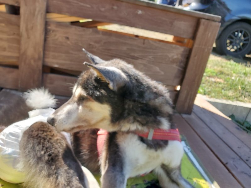 f:id:roukenhome-ann:20191010081124j:plain