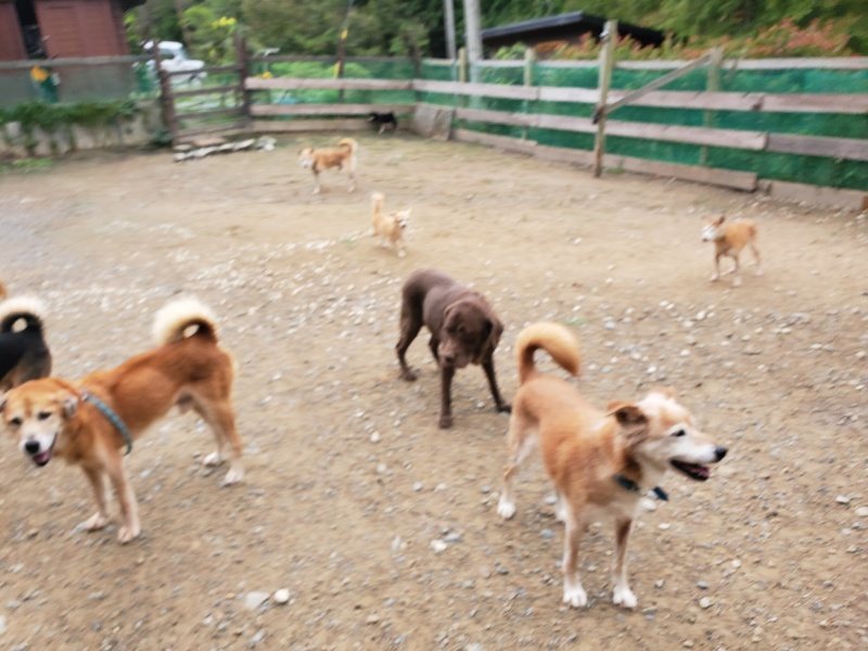 f:id:roukenhome-ann:20191010081701j:plain