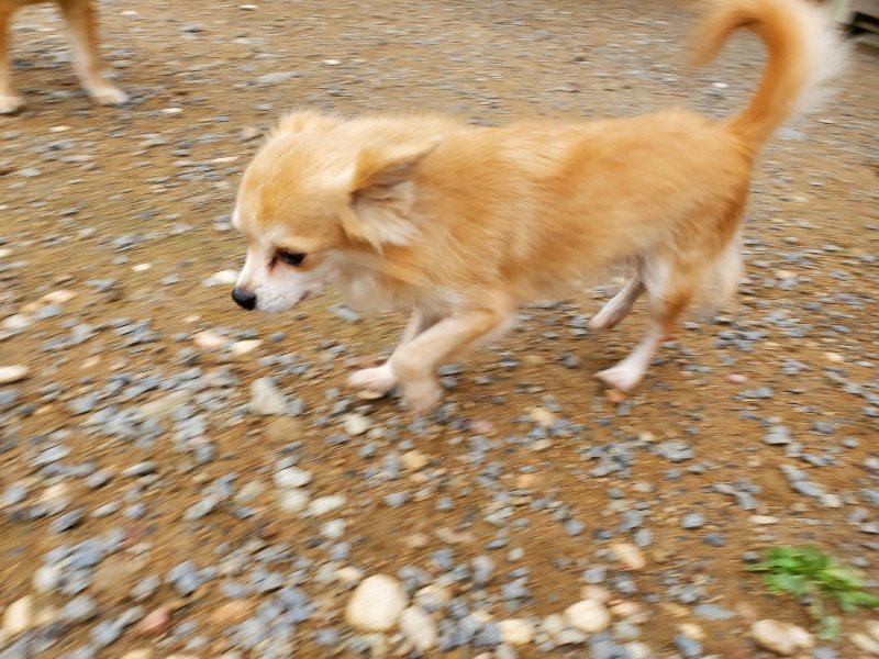 f:id:roukenhome-ann:20191010081728j:plain