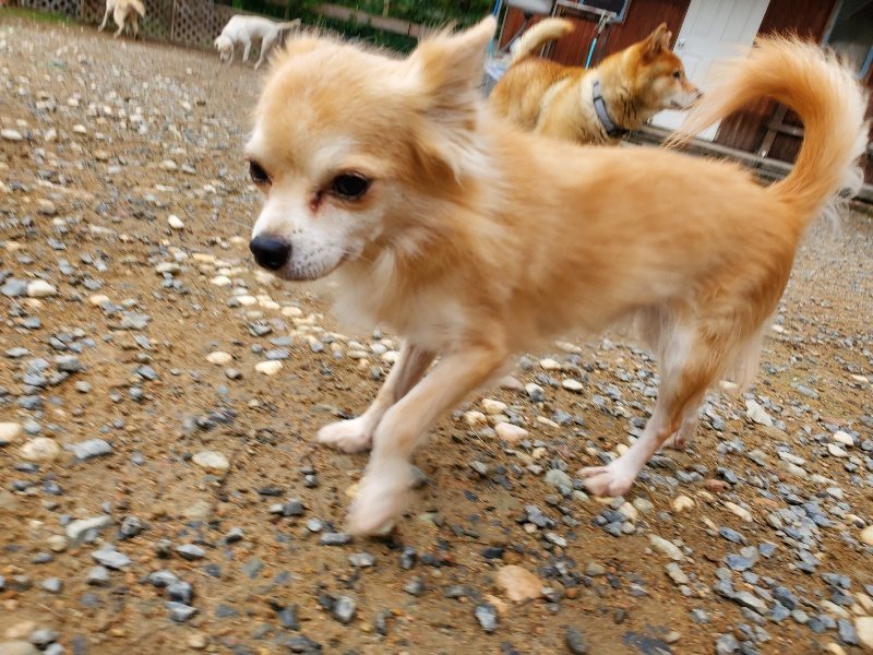 f:id:roukenhome-ann:20191010081733j:plain