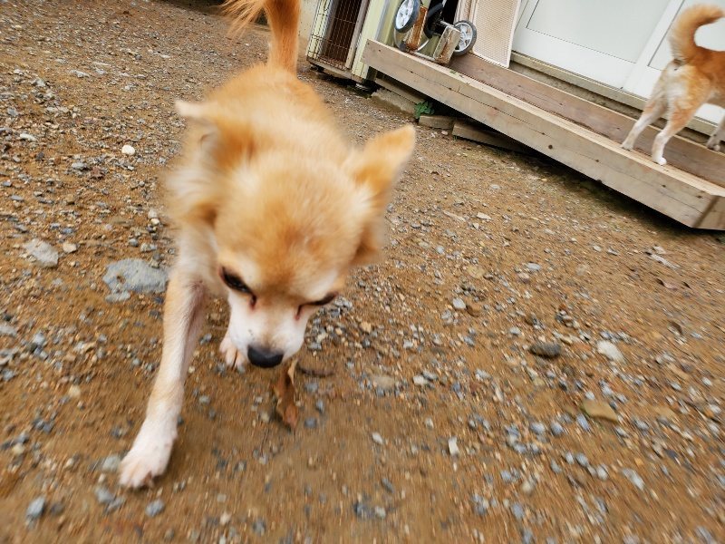 f:id:roukenhome-ann:20191010081741j:plain