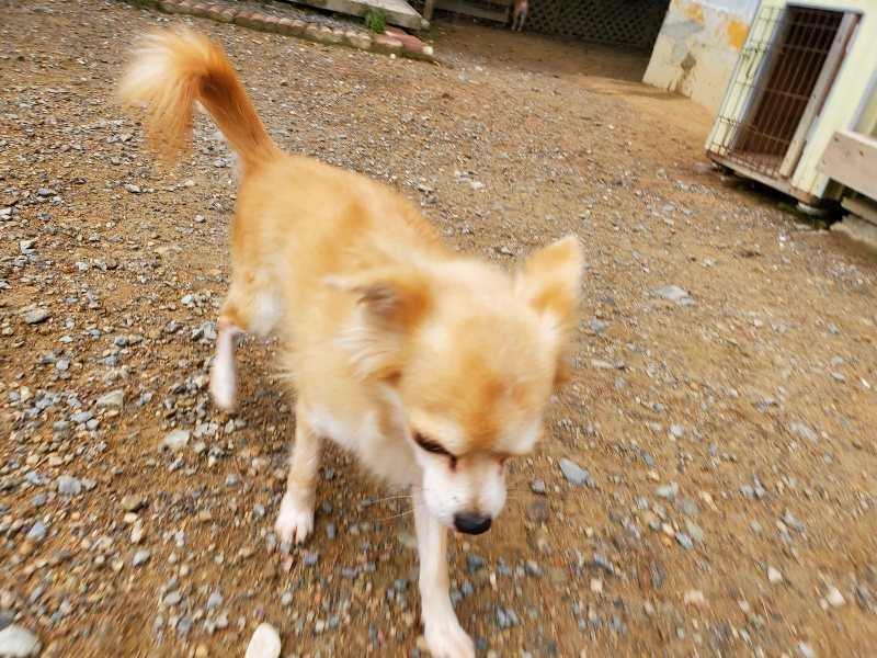 f:id:roukenhome-ann:20191010081748j:plain