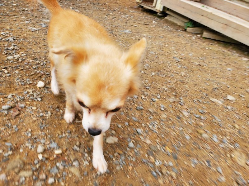 f:id:roukenhome-ann:20191010081753j:plain
