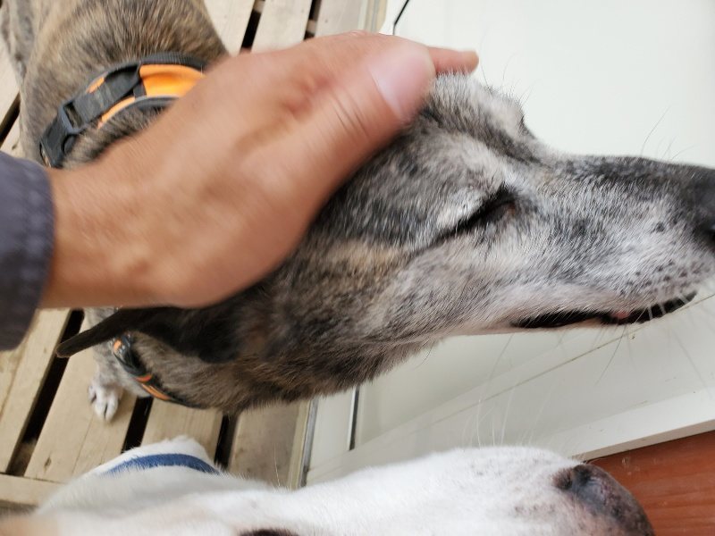 f:id:roukenhome-ann:20191010081813j:plain