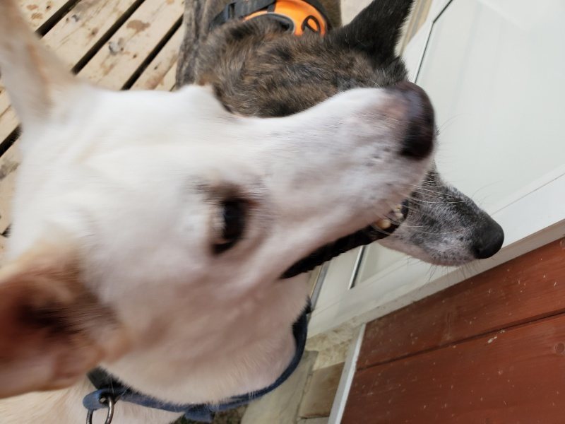 f:id:roukenhome-ann:20191010081818j:plain