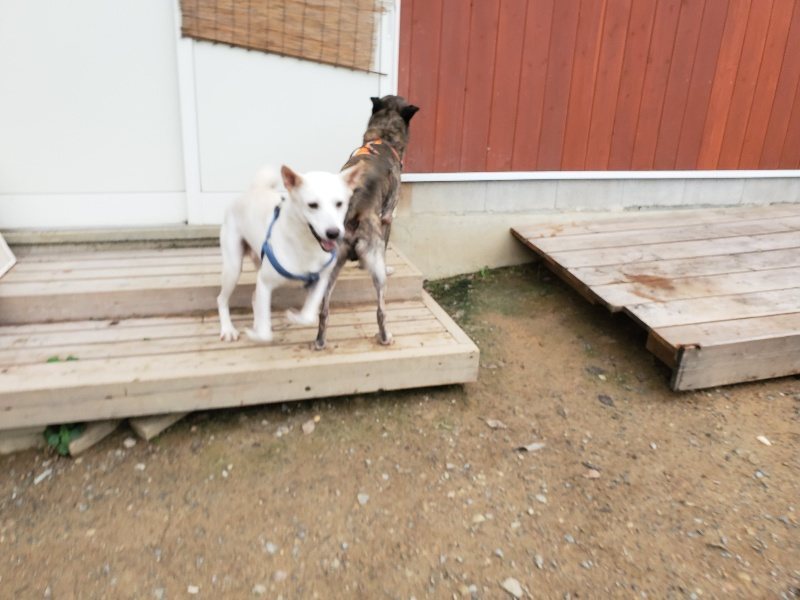 f:id:roukenhome-ann:20191010081830j:plain