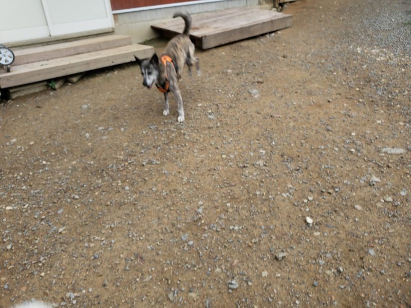 f:id:roukenhome-ann:20191010081842j:plain