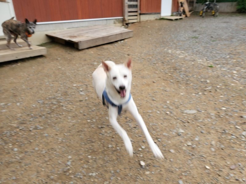 f:id:roukenhome-ann:20191010081847j:plain