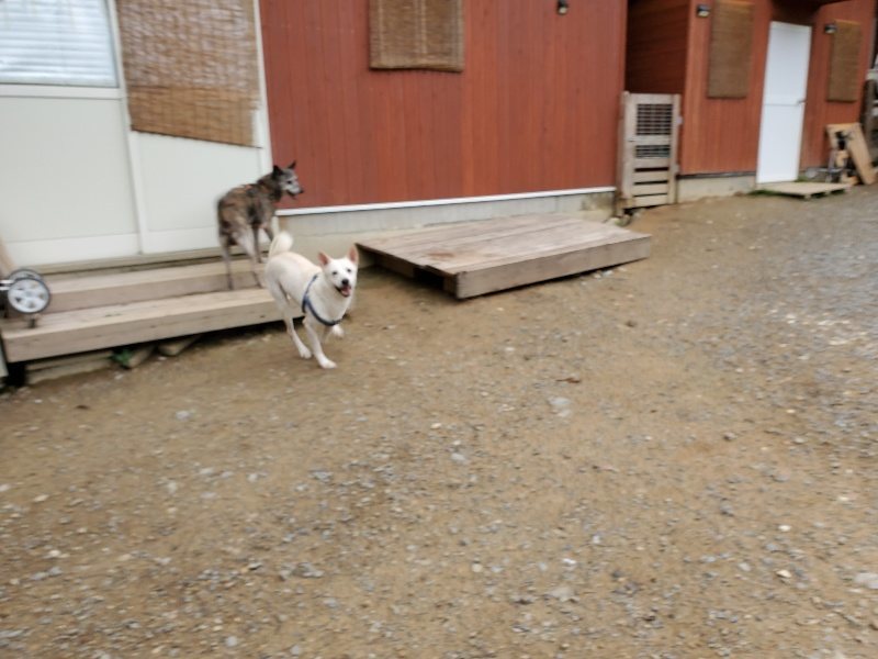 f:id:roukenhome-ann:20191010081857j:plain