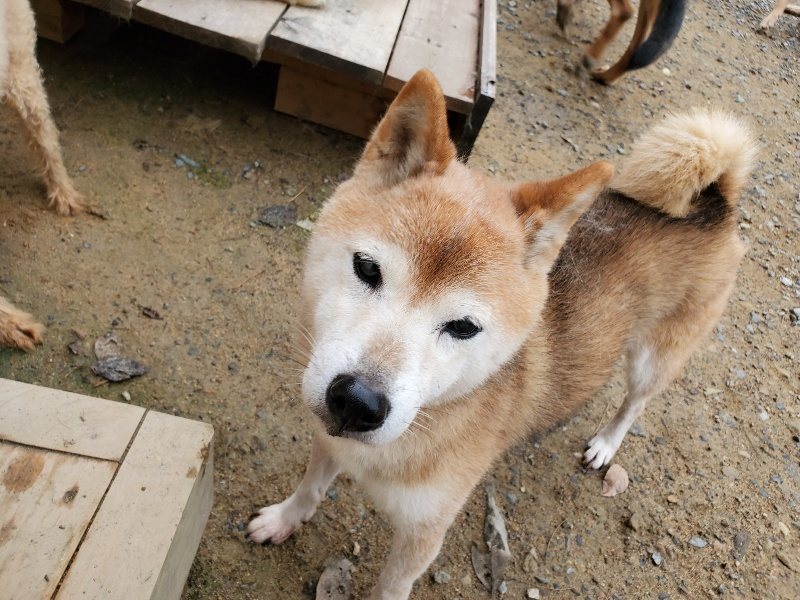 f:id:roukenhome-ann:20191010081910j:plain