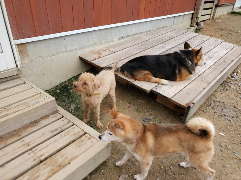 f:id:roukenhome-ann:20191010081922j:plain