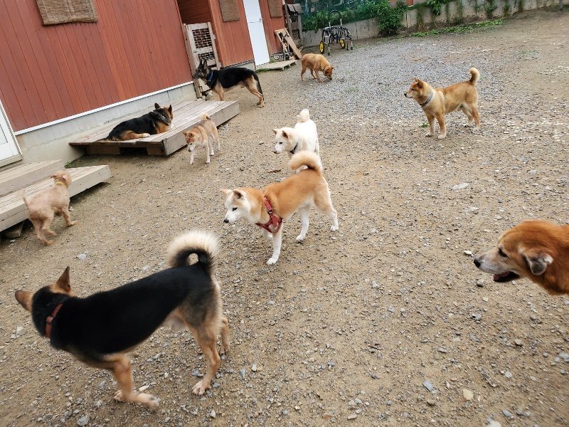 f:id:roukenhome-ann:20191010081937j:plain