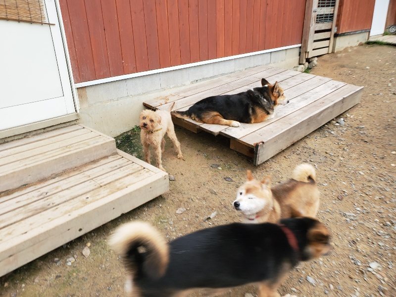 f:id:roukenhome-ann:20191010081942j:plain