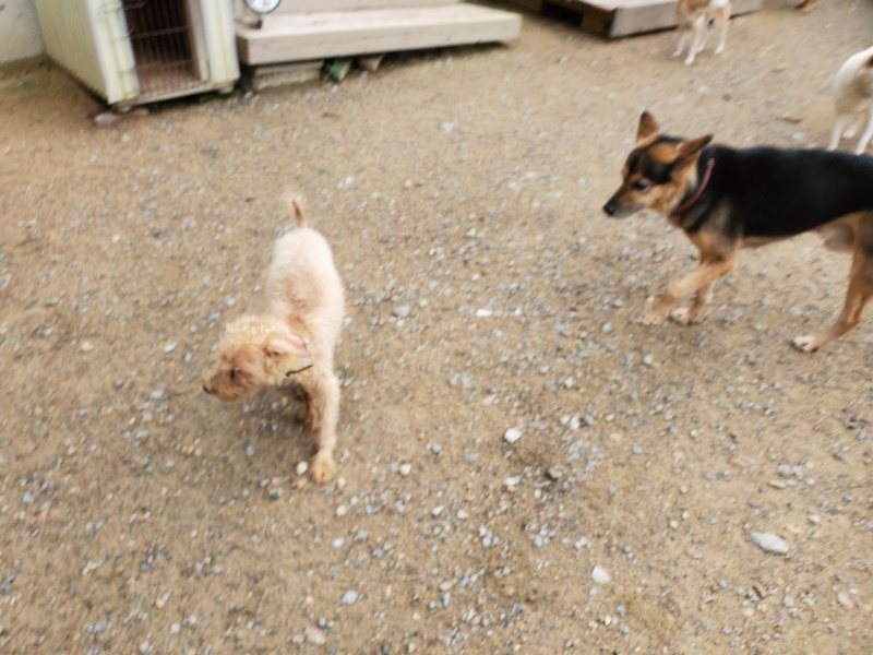 f:id:roukenhome-ann:20191010081956j:plain