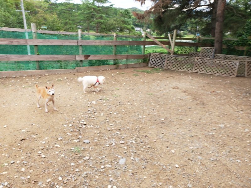f:id:roukenhome-ann:20191010082123j:plain