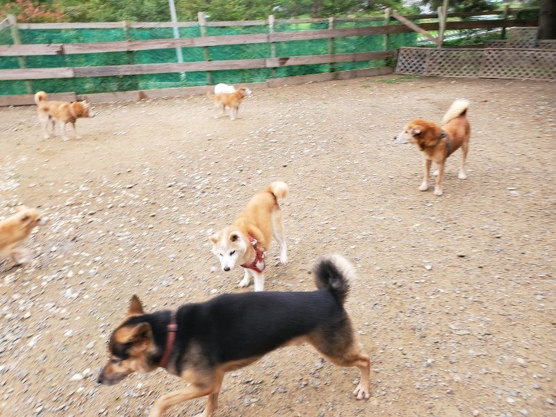 f:id:roukenhome-ann:20191010082149j:plain