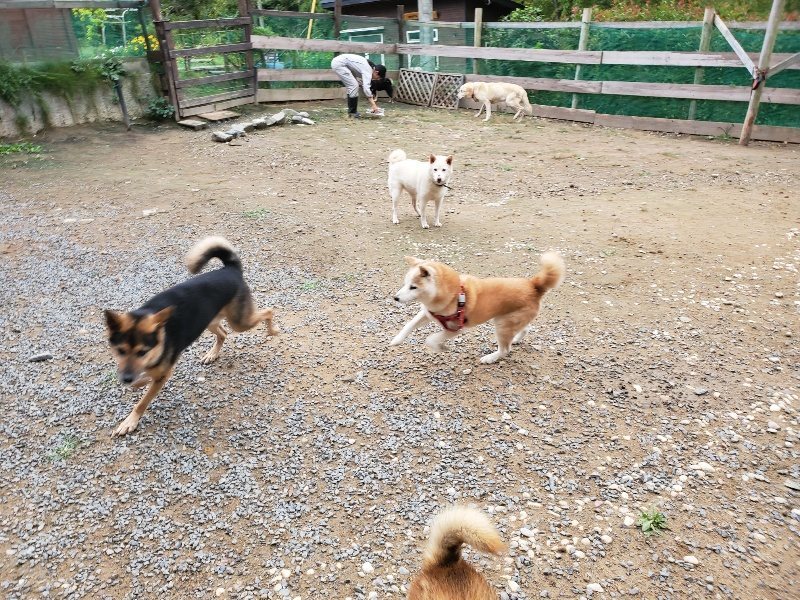 f:id:roukenhome-ann:20191010082204j:plain