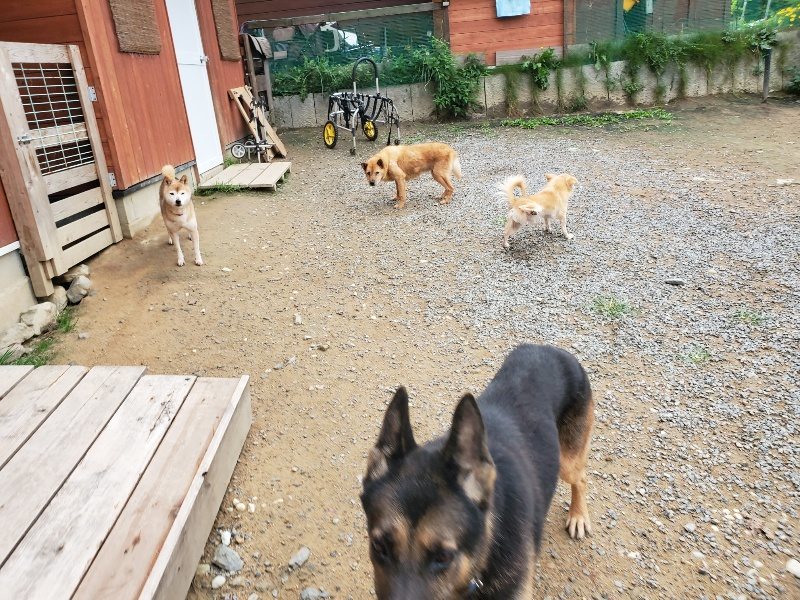 f:id:roukenhome-ann:20191010082214j:plain