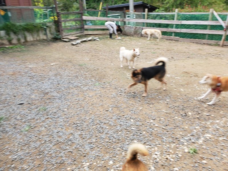 f:id:roukenhome-ann:20191010082219j:plain