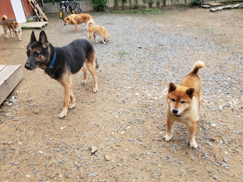 f:id:roukenhome-ann:20191010082227j:plain