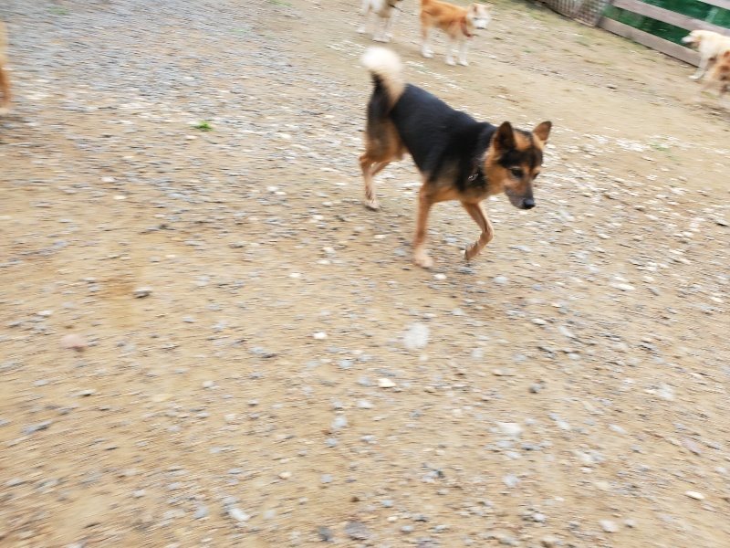 f:id:roukenhome-ann:20191010082242j:plain