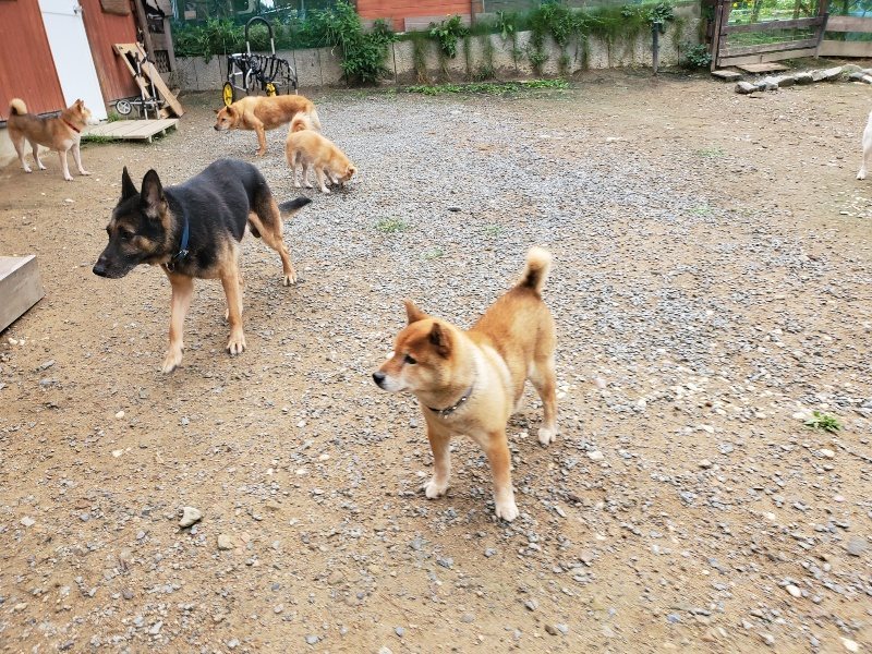 f:id:roukenhome-ann:20191010082249j:plain