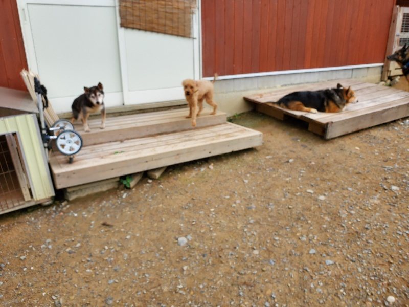 f:id:roukenhome-ann:20191010082303j:plain