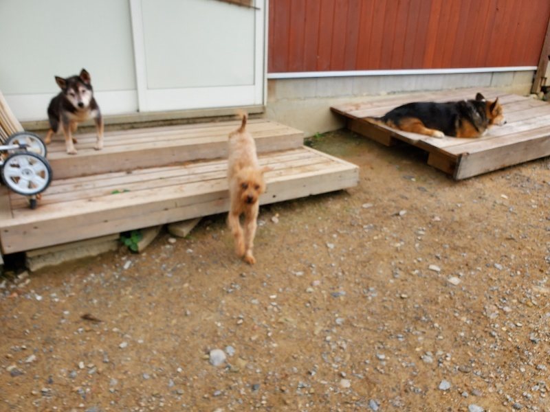 f:id:roukenhome-ann:20191010082309j:plain