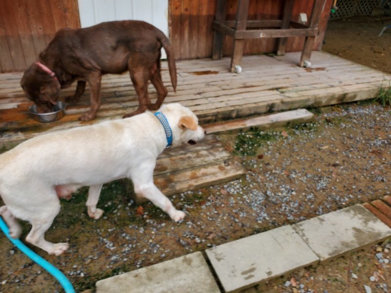 f:id:roukenhome-ann:20191010082315j:plain