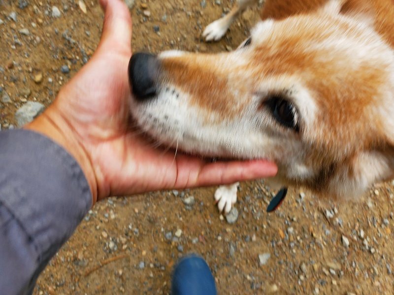 f:id:roukenhome-ann:20191010082338j:plain