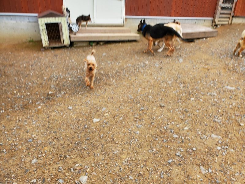 f:id:roukenhome-ann:20191010082342j:plain