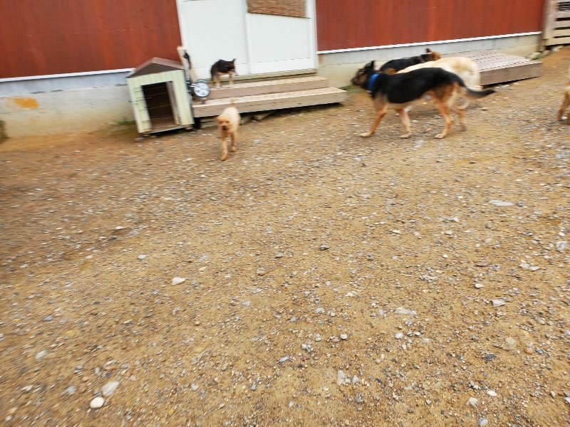 f:id:roukenhome-ann:20191010082356j:plain