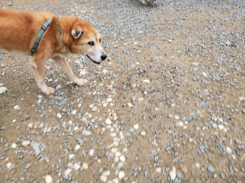 f:id:roukenhome-ann:20191010082531j:plain