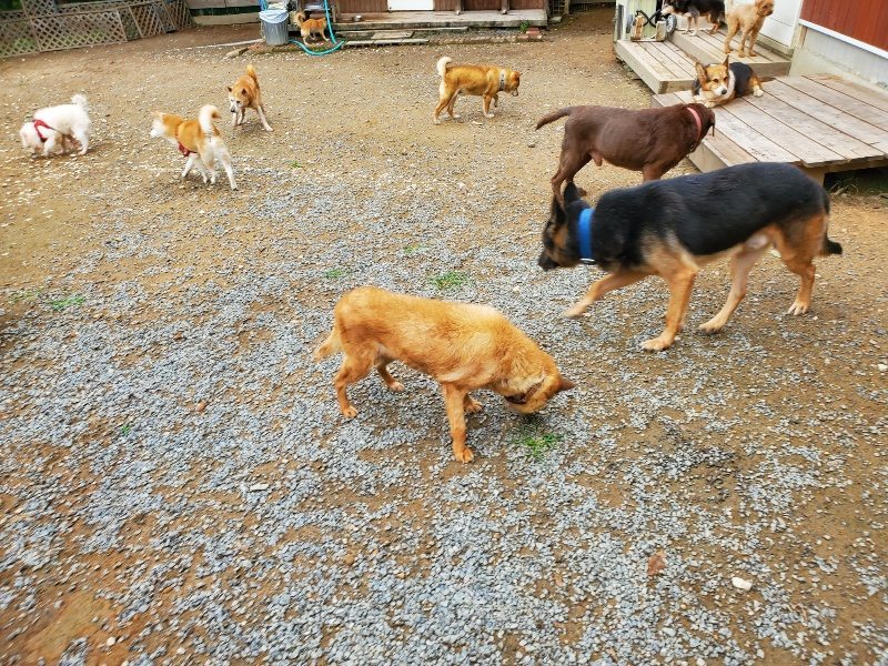 f:id:roukenhome-ann:20191010082552j:plain