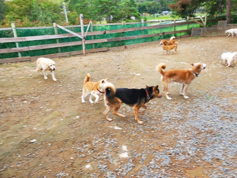 f:id:roukenhome-ann:20191010082606j:plain