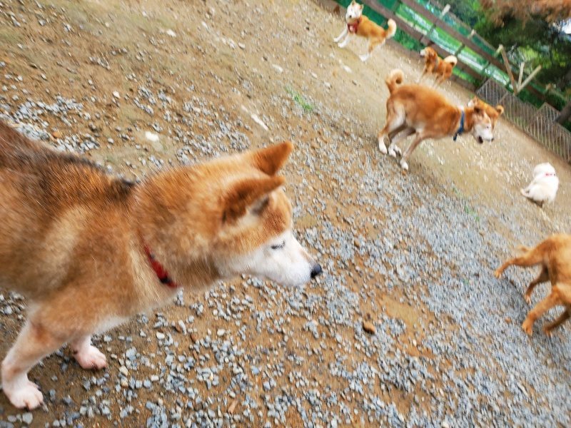 f:id:roukenhome-ann:20191010082614j:plain