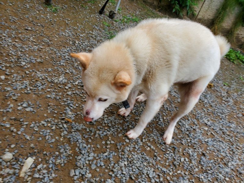 f:id:roukenhome-ann:20191010082620j:plain