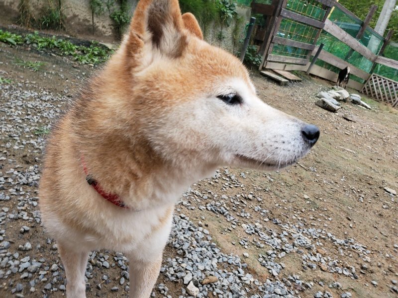 f:id:roukenhome-ann:20191010082627j:plain