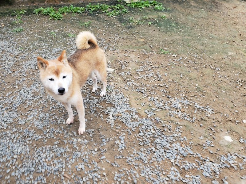 f:id:roukenhome-ann:20191010082643j:plain