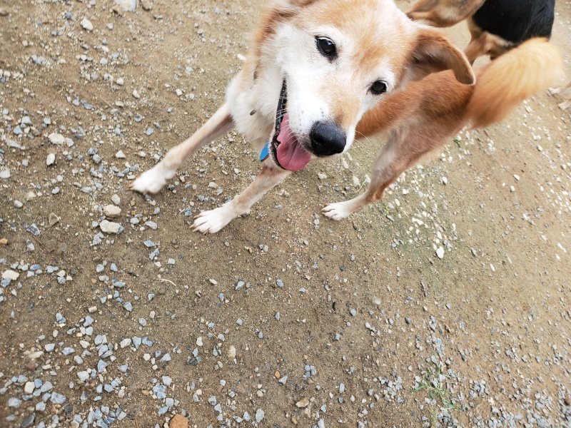 f:id:roukenhome-ann:20191010082703j:plain