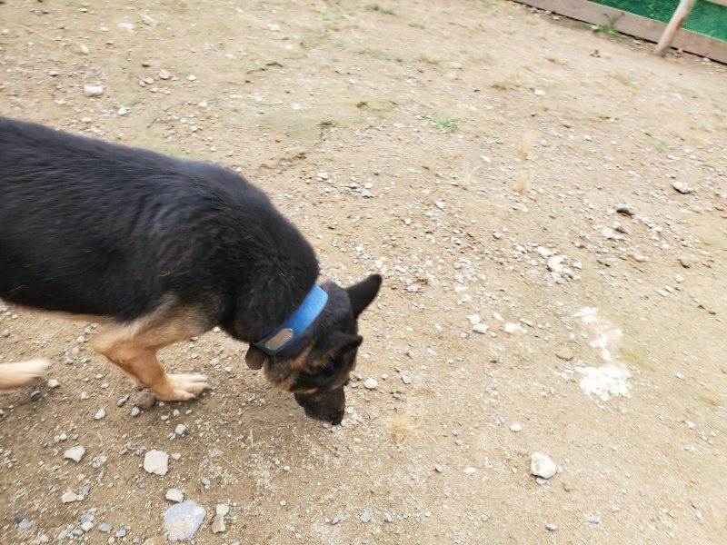 f:id:roukenhome-ann:20191010082708j:plain