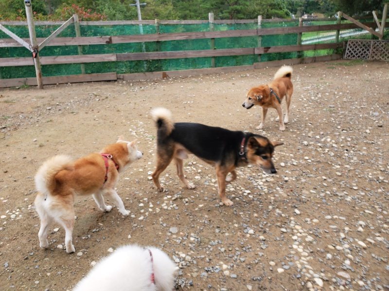 f:id:roukenhome-ann:20191010082715j:plain
